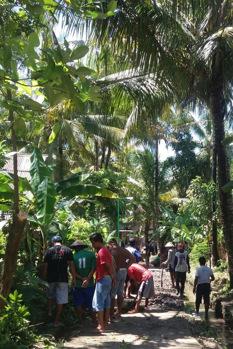 PEMBANGUNAN PENGERASAN JALAN DI DESA SRIHARDONO